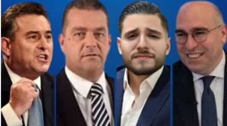 BERNARD GRECH U ALEX BORG JIFFAĊĊJAW ĠIMGĦA IEBSA QUDDIEM L-ESTREMISTI LI JRIDU RASHOM FUQ PLATT