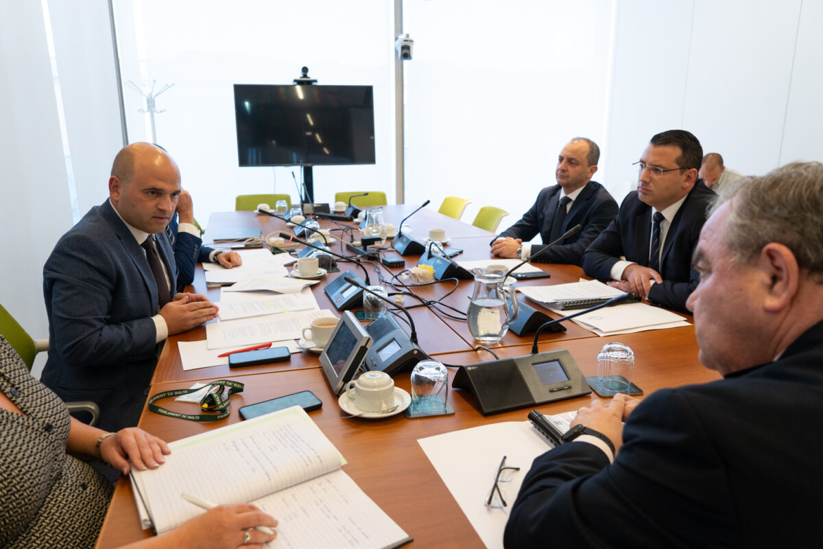 RYAN CALLUS UKOLL LEST LI JIVVOTA KONTRA ALEX BORG FIL-KUMITAT GĦALL-ISTANDARDS BIEX IL-FAŻŻJONI ESTREMISTA TAL-PN TKUN TISTA TGĦADDI GĦAT-TKEĊĊIJA