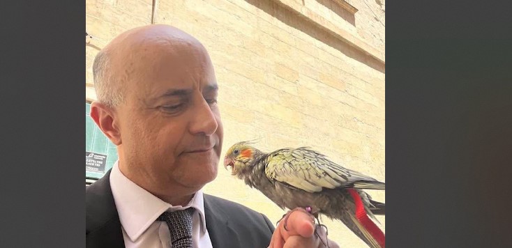 HEY JASON, TIFRAĦX ĦAFNA, L-GĦASFUR TIEGĦI AKBAR MINN TIEGĦEK!
