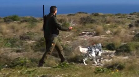 WARA T-TRADIMENT, TAL-PN ISSA B’ILSIENHOM BARRA JIPPRUVAW JILGĦAQU LILL-KAĊĊATURI